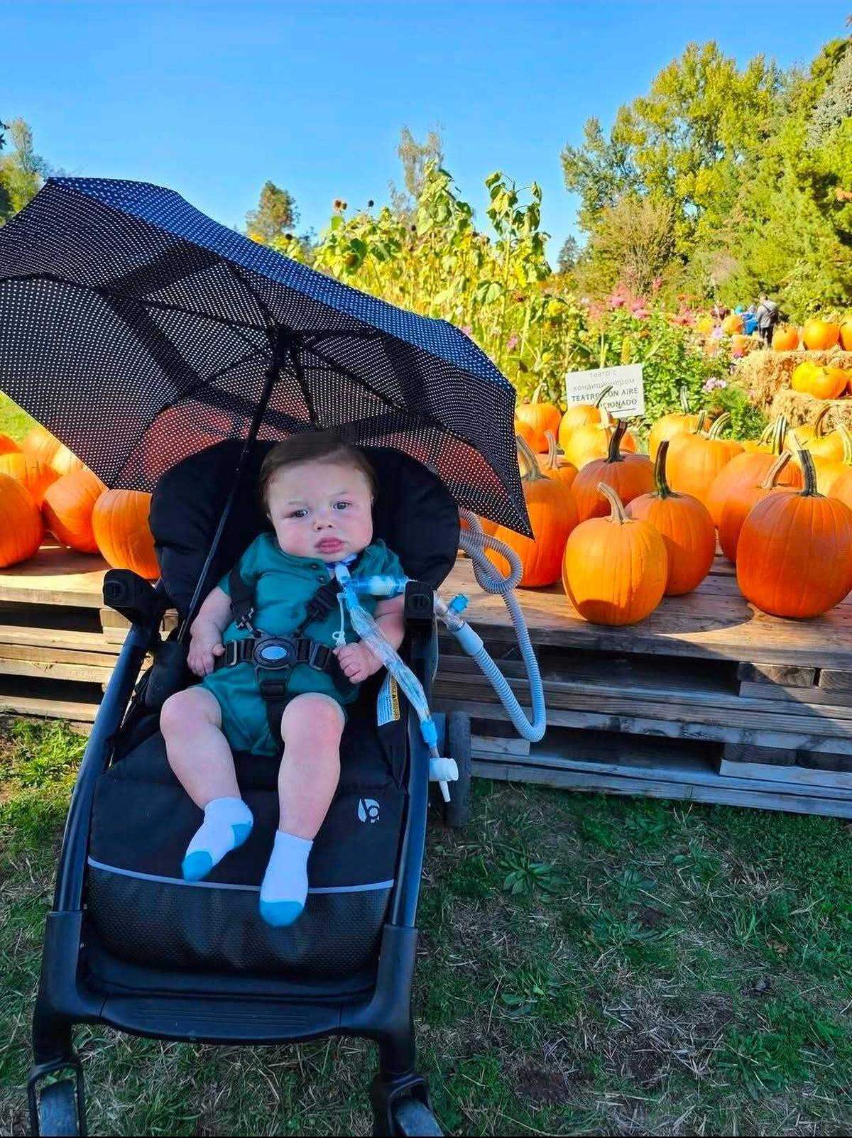 Avery Henderson enjoys time at a pumpkin patch with his family.