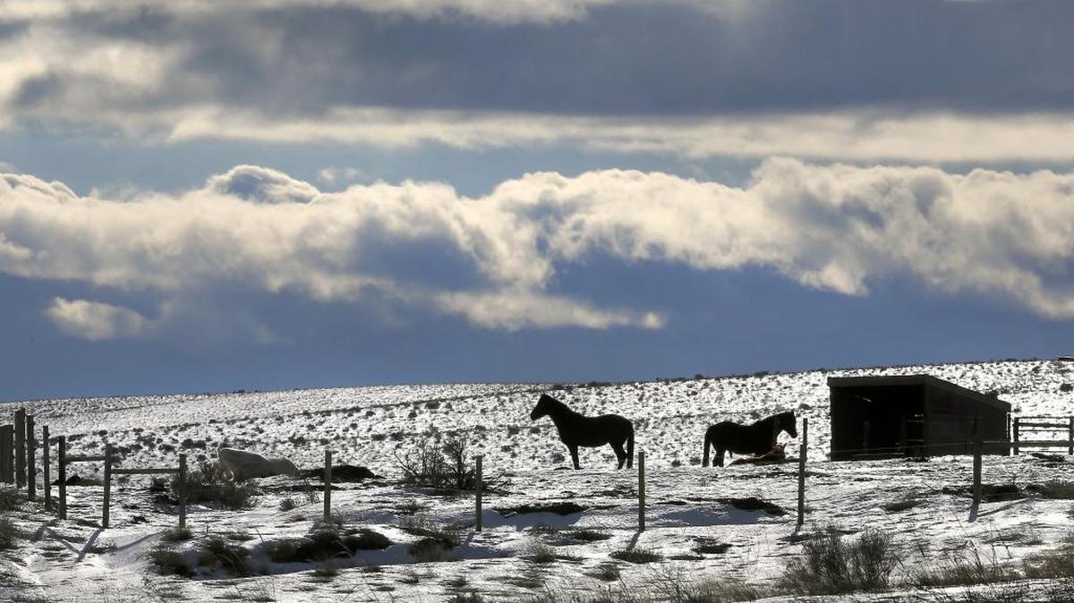 Stormy-looking clouds glide past in the distance behind horses in a corral Friday morning as sunshine glistens off melting snow along Highway 397 about two miles east of South Olympia Street south of Kennewick. The bright sunshine and temperatures reaching into the upper 40s dominated the day, giving relief to recent overcast skies and frigid temperatures around the Mid-Columbia. Clear skies and warm temperatures are forecast again for Saturday.