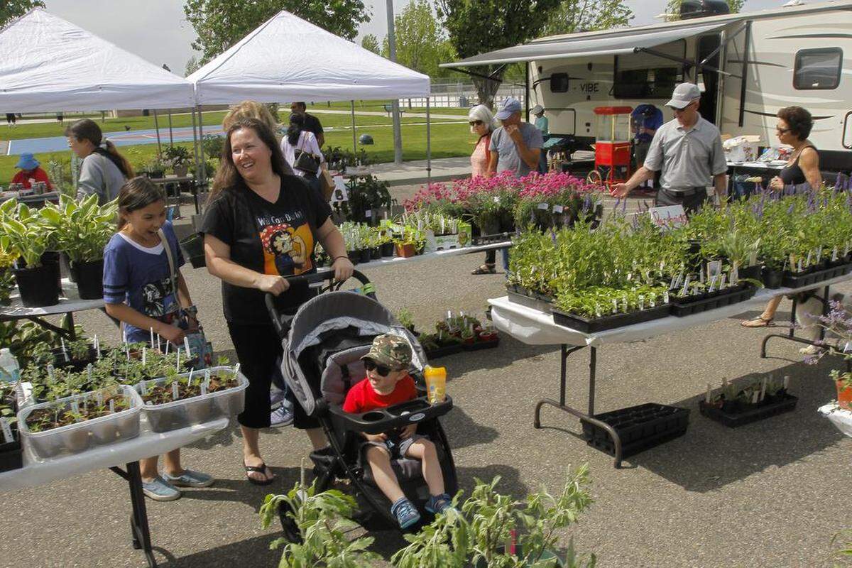 Shoppers look over tables full of plants during a Master Gardener Plant Sale in Kennewick.