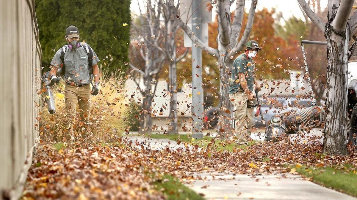 Senske Services employees Saul Palencia, left, and Joseph Heinen create their own whirlwind Wednesday cleaning up leaves stripped off trees overnight by the wind. One is using a blower to push them toward a trailer-mounted vacuum near the Creekstone housing development south of West 10th Avenue in Kennewick. Chilly, rainy weather is arriving late this week from the Gulf of Alaska, according to the National Weather Service.
