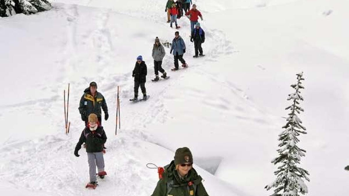 A park guide leads snowshoe walk for novices near Paradise in Mount Rainier National Park.