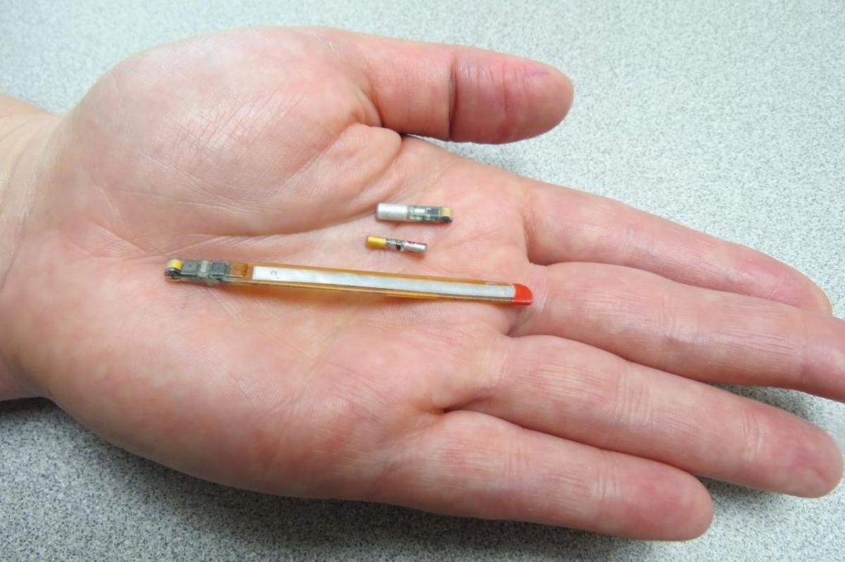 Acoustic fish tags developed at Pacific Northwest National Laboratory, from top to bottom, include an injectable acoustic tag, an eel and lamprey tag, and a self-powered acoustic tag. Smaller tags are needed for smaller fish, but smaller size means less power.