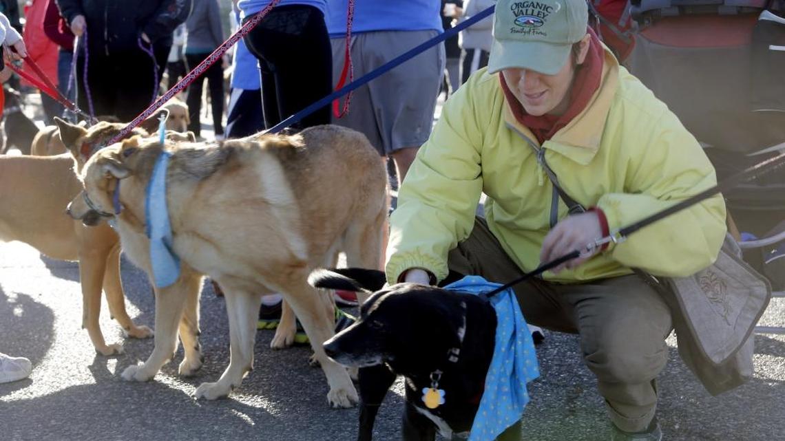 More than 400 people joined in the 15th annual Pet Over Population Prevention Prevention Pooch and Pal in March at Columbia Point Marina in Richland.