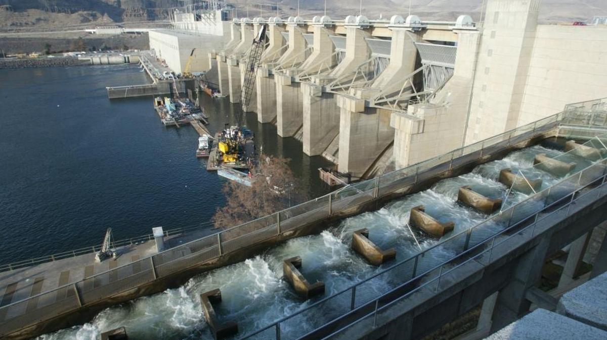 The fish ladder stands in the foreground of Lower Monumental Dam, one of four on the Snake River in Washington.