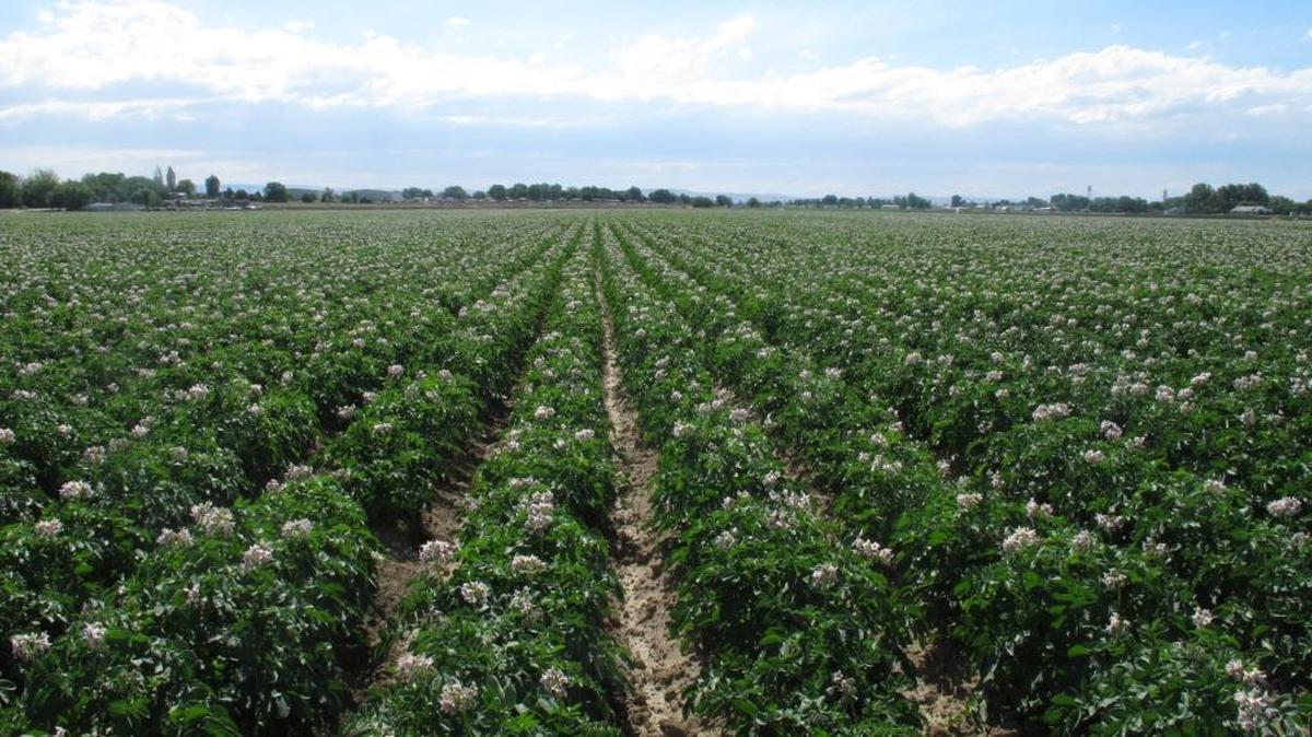 Retired climate scientist Steve Ghan in Tri-Cities, WA, makes the argument that agricultural producers can be climate heroes.