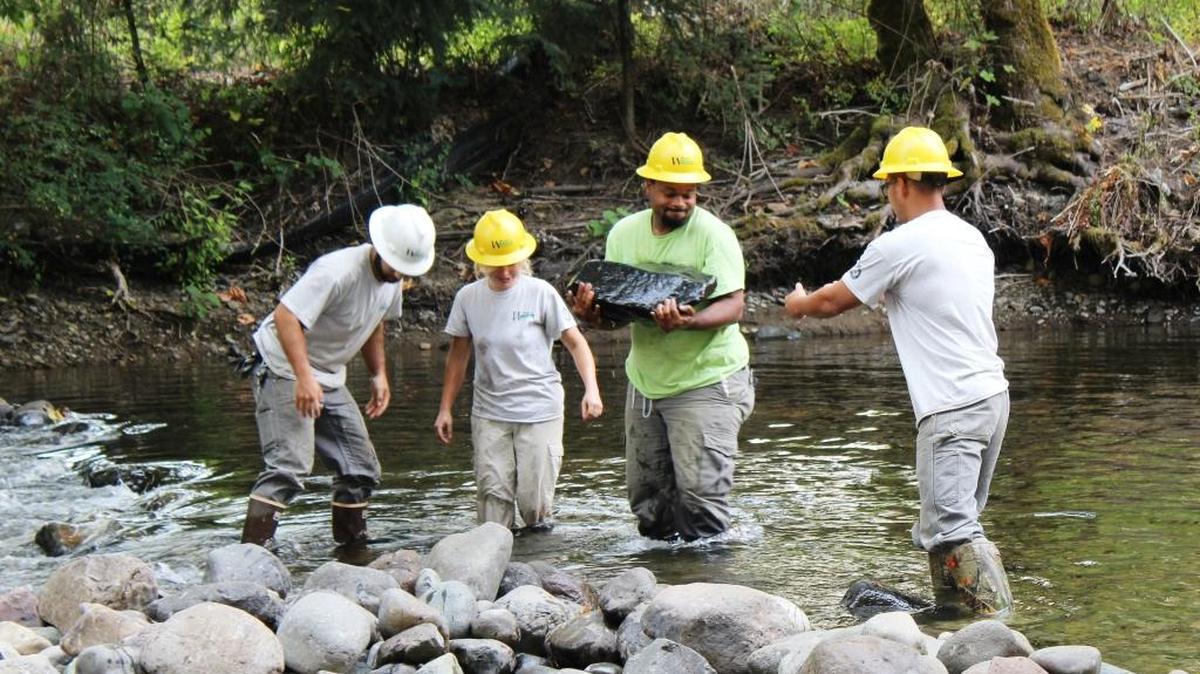 Washington Conservation Corps members work on a drought relief project to help fish navigate low flows on Wilkeson Creek in Pierce County.