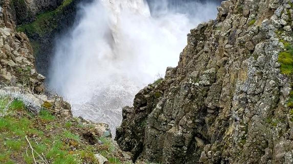 John Panther of Kennewick shared this photo of the water crashing over the Palouse Falls. The Palouse River gauge measured the water level at nearly 13.2 feet deep at Hooper above the falls last week. The river level has fallen to 10 feet at the gauge since then, but spring snow melt should bring the river level up to 11.2 feet by the end of the week. The record for the Hooper gauge is 19.1 feet.