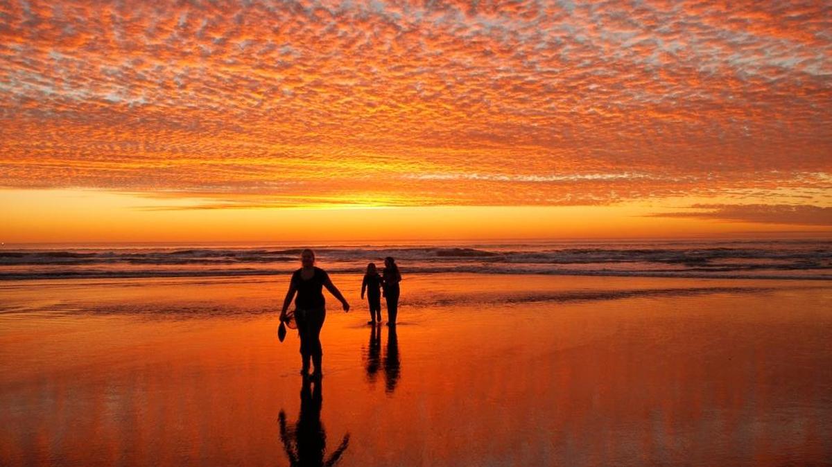 Visit a Washington state park, including Grayland Beach State Park in Pacific County, for free on Sept. 30.