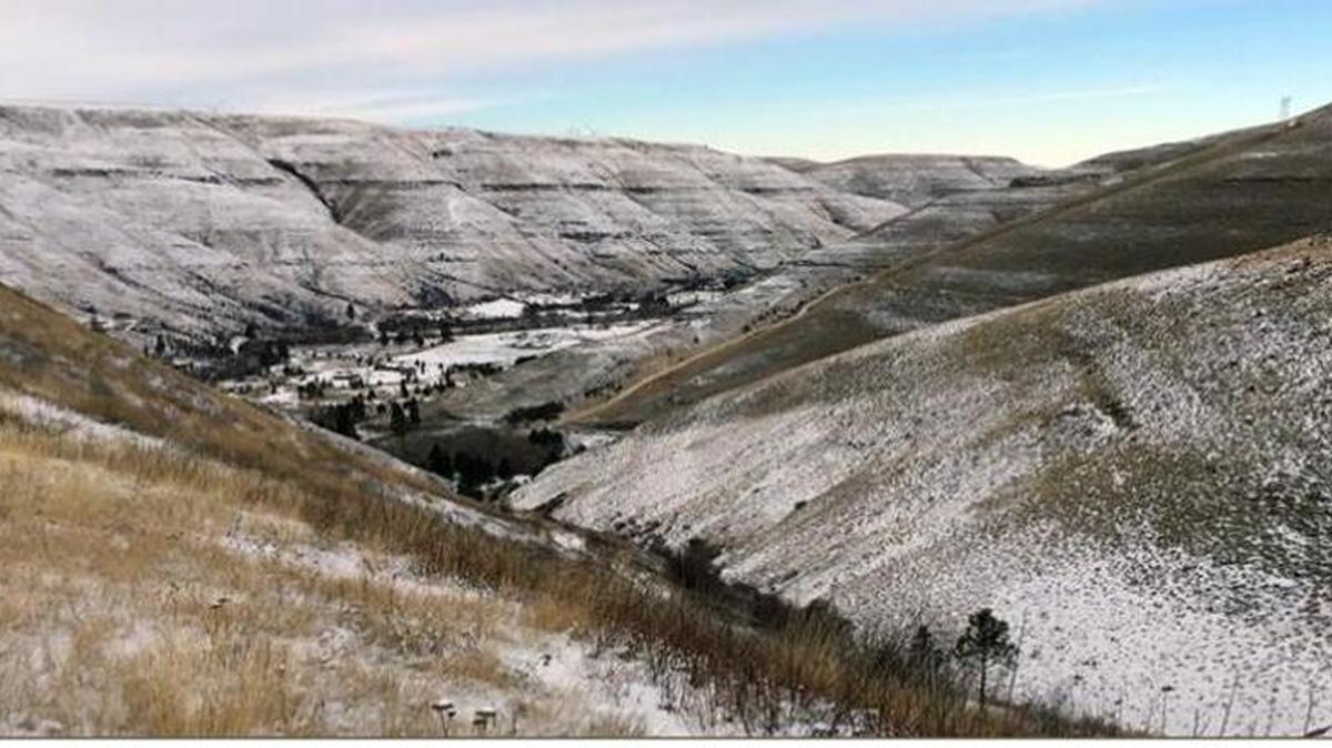 The Washington state Department of Fish and Wildlife is in the early stages of considering whether to purchase 43 acres bordering the W.T. Wooten Wildlife Area in Columbia County.