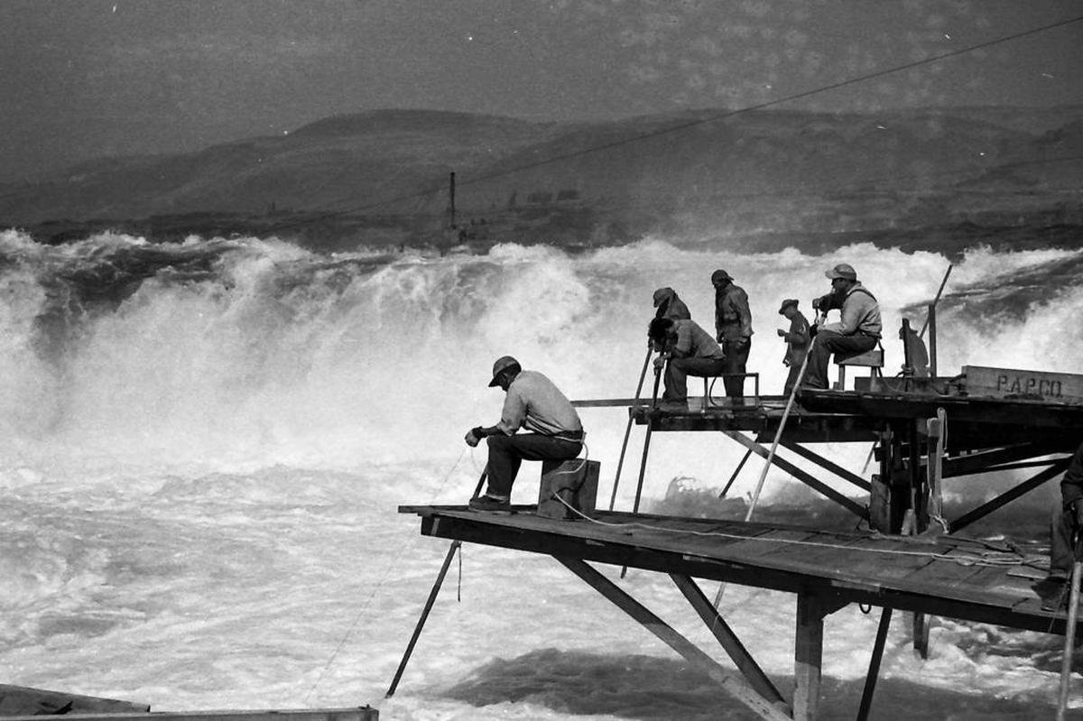 Indian fishermen dipnetting salmon at Celilo Falls on the Columbia in 1952. The falls, a major fishing site for tribes across the Pacific Northwest, was submerged when The Dalles Dam was built in 1957.