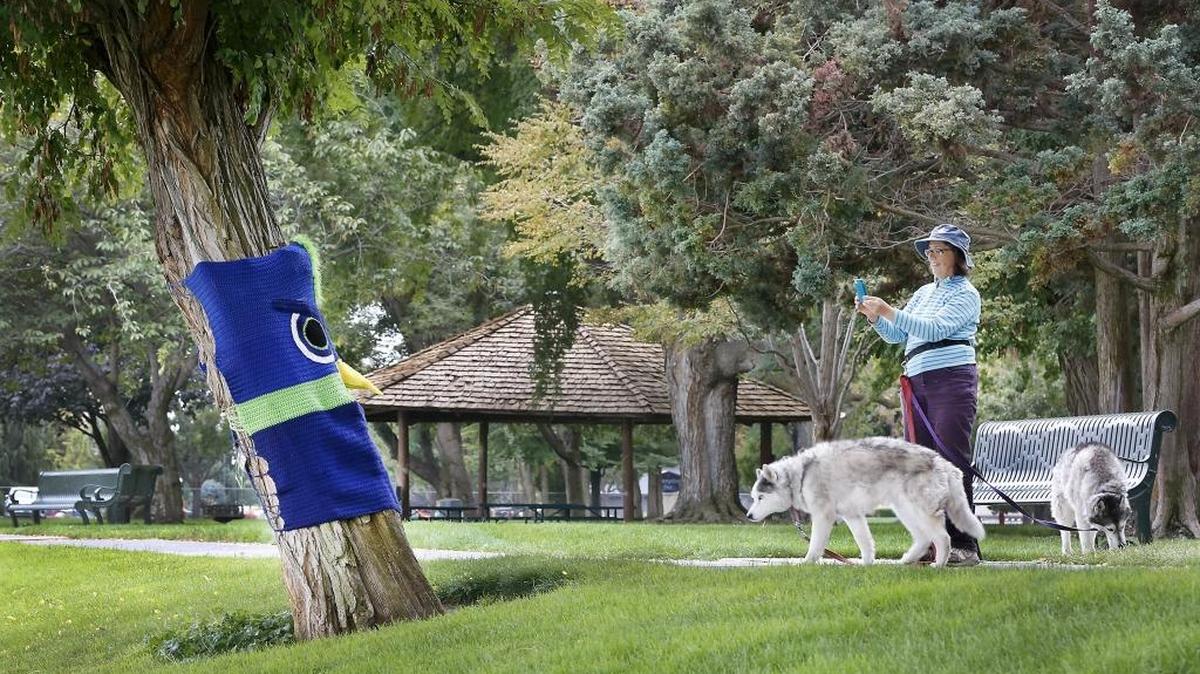 
Nancy Doran of the Richland Parks Commission snaps a picture of a Seattle Seahawks-inspired tree sweater Wednesday morning while walking her Siberian huskies in Howard Amon Park. The wrapping is one of 27 entries by local artists in the second-annual Sweater Weather event sponsored by the city’s parks commission and parks department. A guided walking tour is at 9 a.m. Oct. 21. To enter a sweater or for more information call 509-942-7534. Watch a video at: www.tricityherald.com/video.
