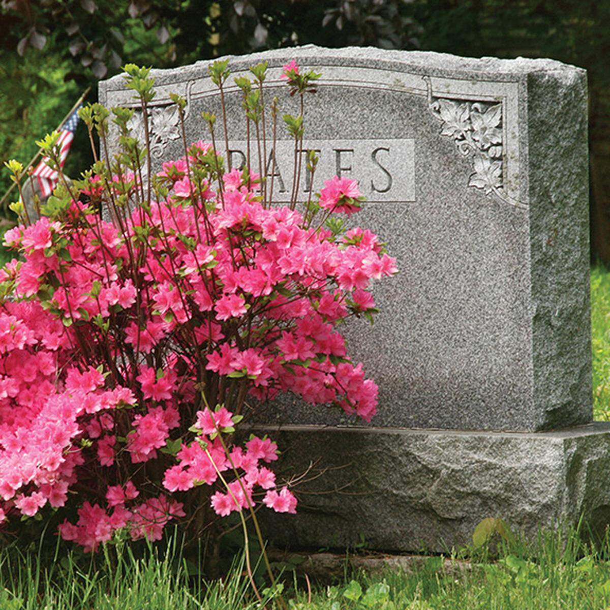 Obituaries