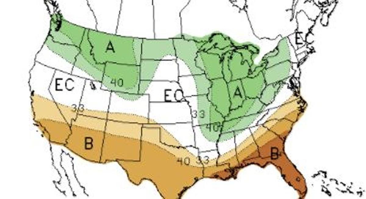 The green color covers areas where more precipitation than usual is possible, with yellow and brown showing areas with a chance of drier than usual weather.