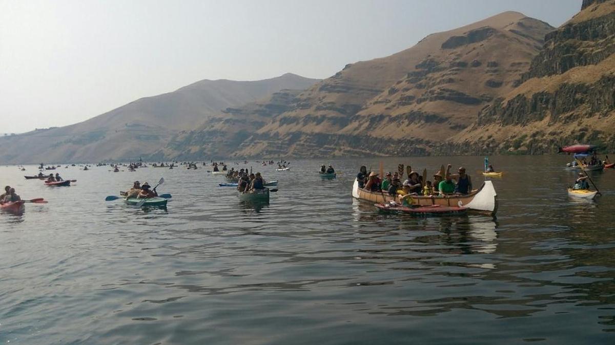 Hundreds of paddlers floated on the Snake River reservoir backed up by Lower Granite Dam in Washington Saturday to call for removal of its and three other dams biologists say need to be removed to restore endangered salmon that spawn upstream in rivers like the Middle Fork of the Salmon River.