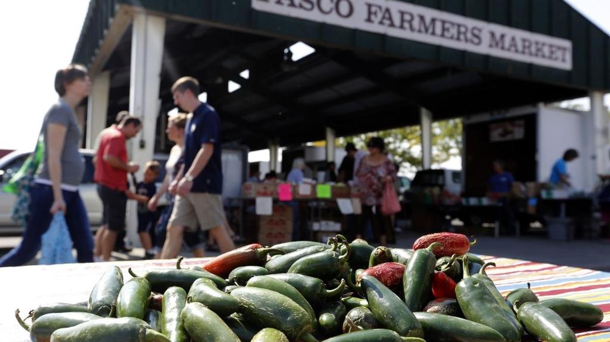 Pasco group faces lawsuit after damning WA audit claims secret meetings, missing money