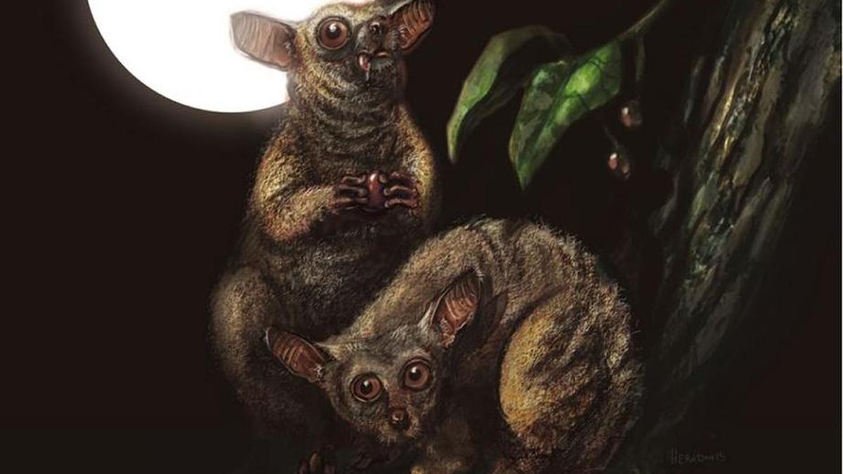 
Ekgmowechashala reconstruction by Christopher Herndon.
