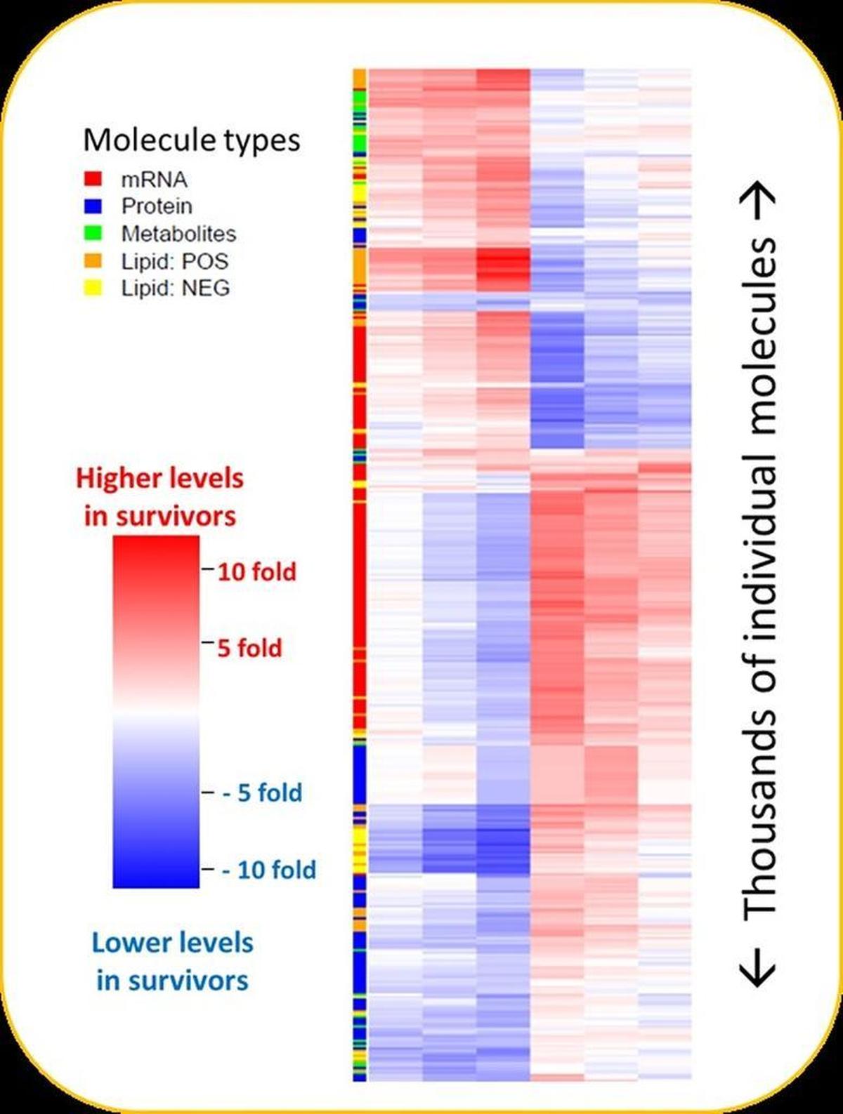 PNNL scientists and their collaborators have identified molecules in the blood that indicate which patients with Ebola virus are most likely to have a poor outcome.
