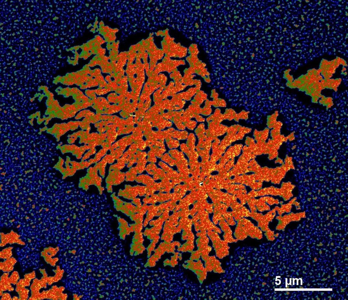 A battery electrode surface with only the most desirable molecules was built from a complex mixture of raw components at PNNL.