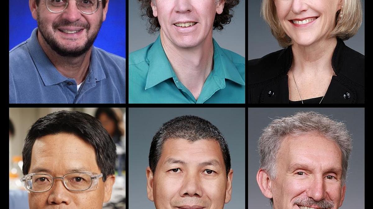Richard Easter, Steven Ghan, Janet Jansson, Yuehe Lin, Jun Liu and Philip Rasch (left to right first and second rows) are among the world’s most influential scientists, according to Clarivate Analytics.