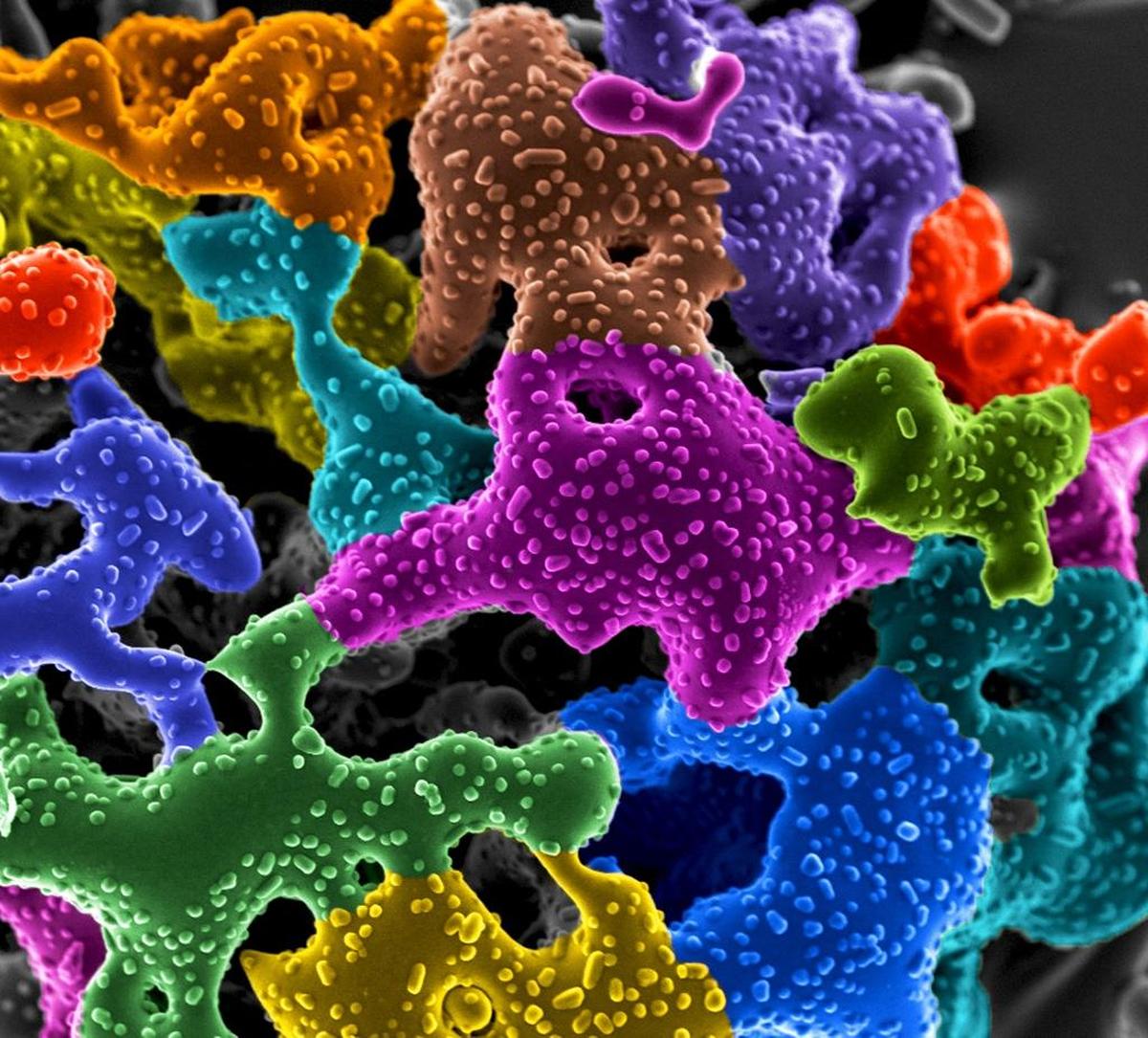 PNNL researchers are developing a zeolite material that could be used to treat harmful emissions before they pass through the exhaust pipe of a vehicle.