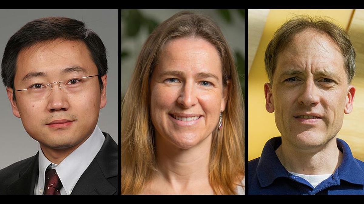 PNNL scientists Yingge Du, Kirsten Hofmockel and James Moran have received Department of Energy Early Career Research awards.