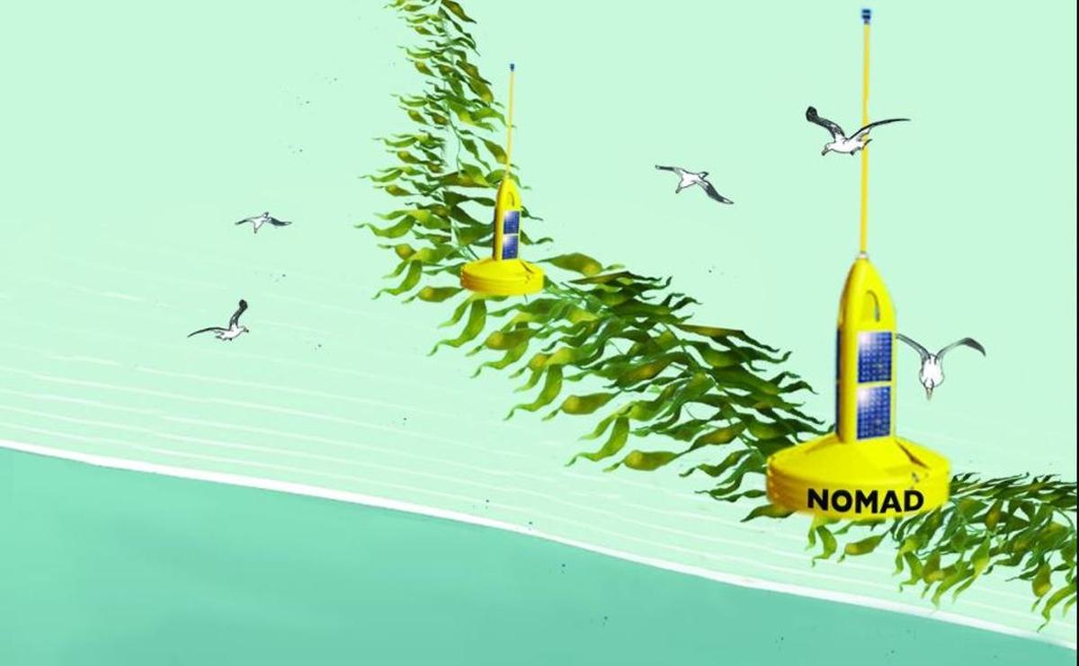 Pacific Northwest National Laboratory and partners are developing the Nautical Offshore Autonomous Device, a seaweed cultivation system that would float freely in the open ocean.