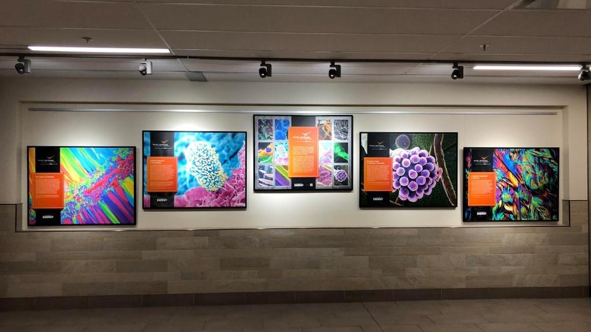 A traveling exhibit of Science as Art images from research at Pacific Northwest National Laboratory has returned home to the Tri-Cities. It will be displayed at the Pasco airport through next year.