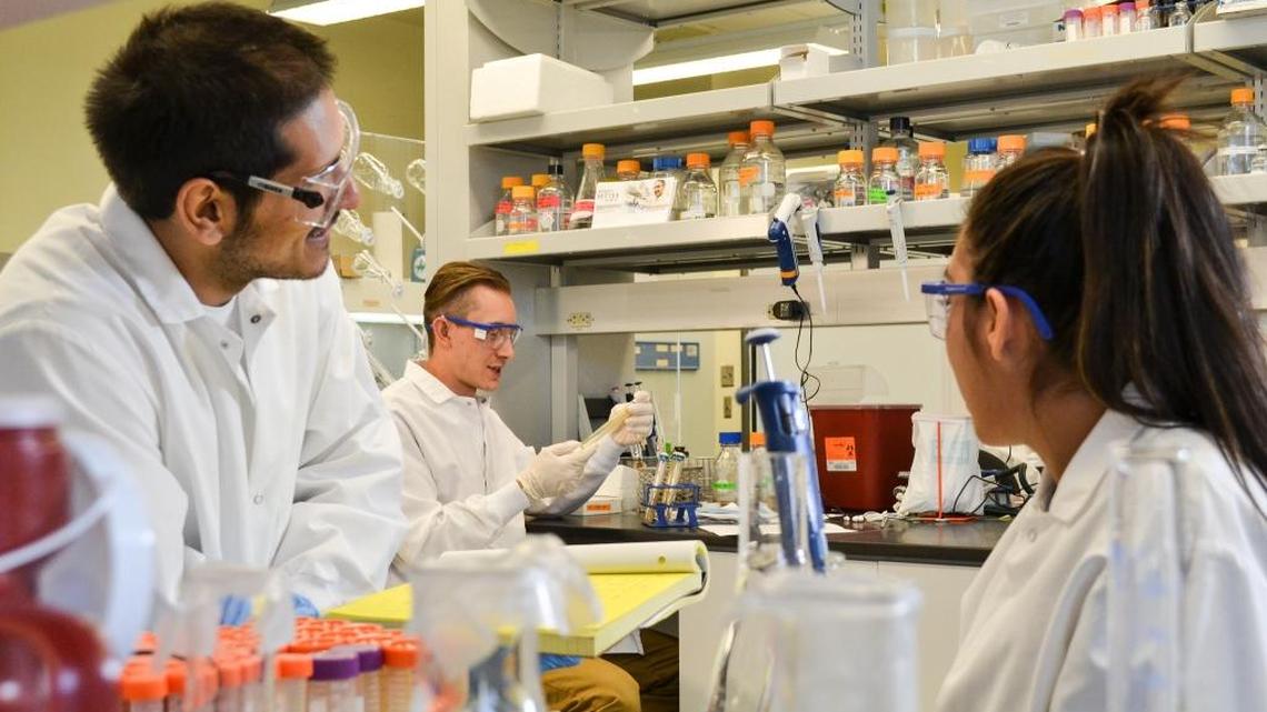 In the Bioproducts, Sciences and Engineering Laboratory on the WSU Tri-Cities campus, PNNL and WSU use advanced biological and chemical research laboratories and equipment for developing technologies and processes to produce fuels and chemicals.