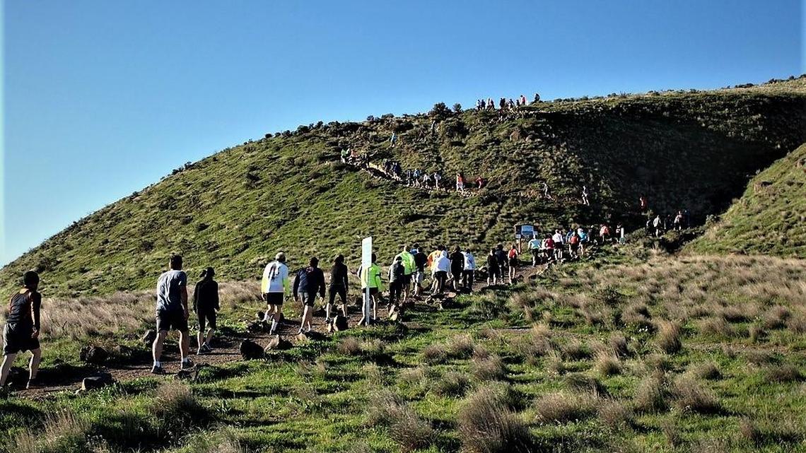 A line of competitors tackle the stair steps in the early stages of the 15-kilometer race of the Badger Mountain Challenge. The popular event offers 15K, 50K, 50-mile and 100-mile trail races on the high open ridges of Southeastern Washington.