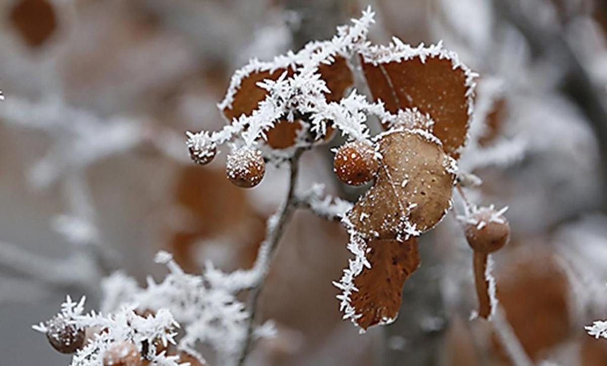 Coldest temperatures of 2025 to date are forecast this week in the Tri-Cities, Wash.