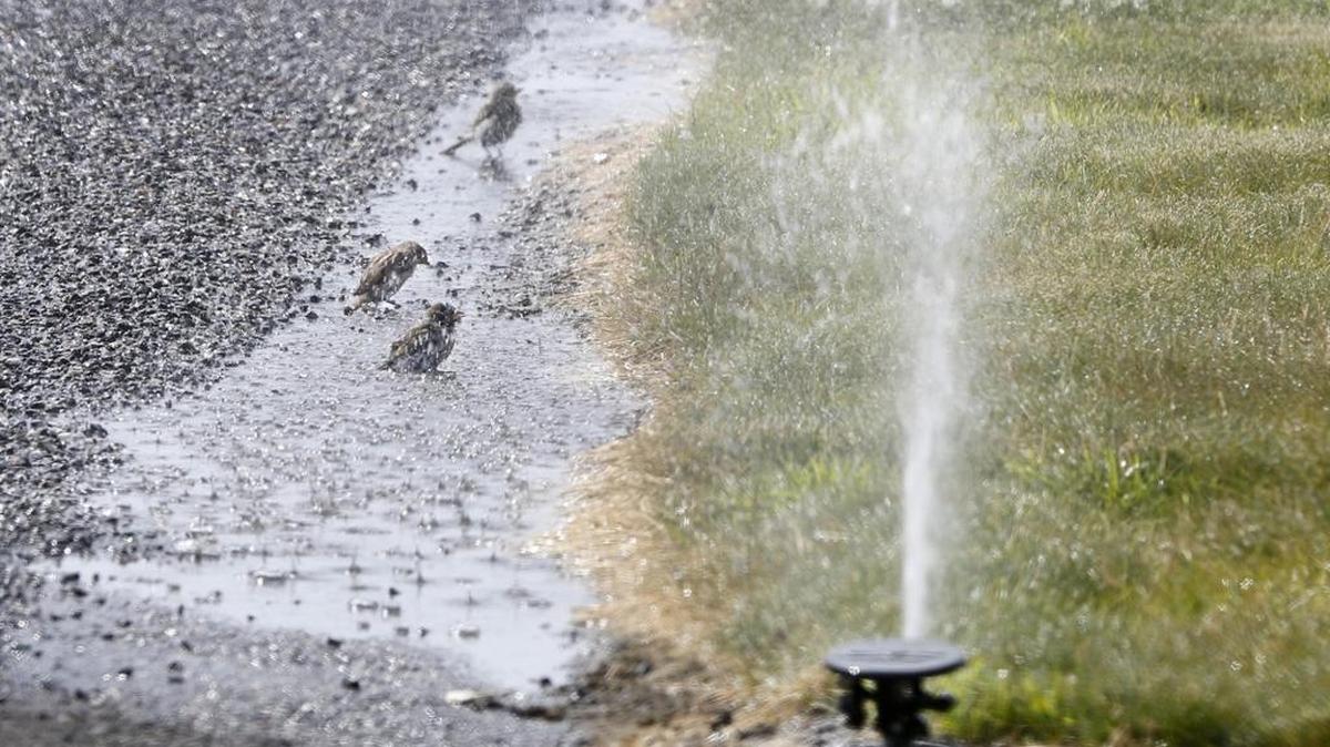 Yakima County commissioners approved a water utility that collects permit and usage fees on new domestic wells in unincorporated areas of the county. The prospect of paying of paying a $1,150 fee up front and more than $300 annually doesn’t sit well with property owners.