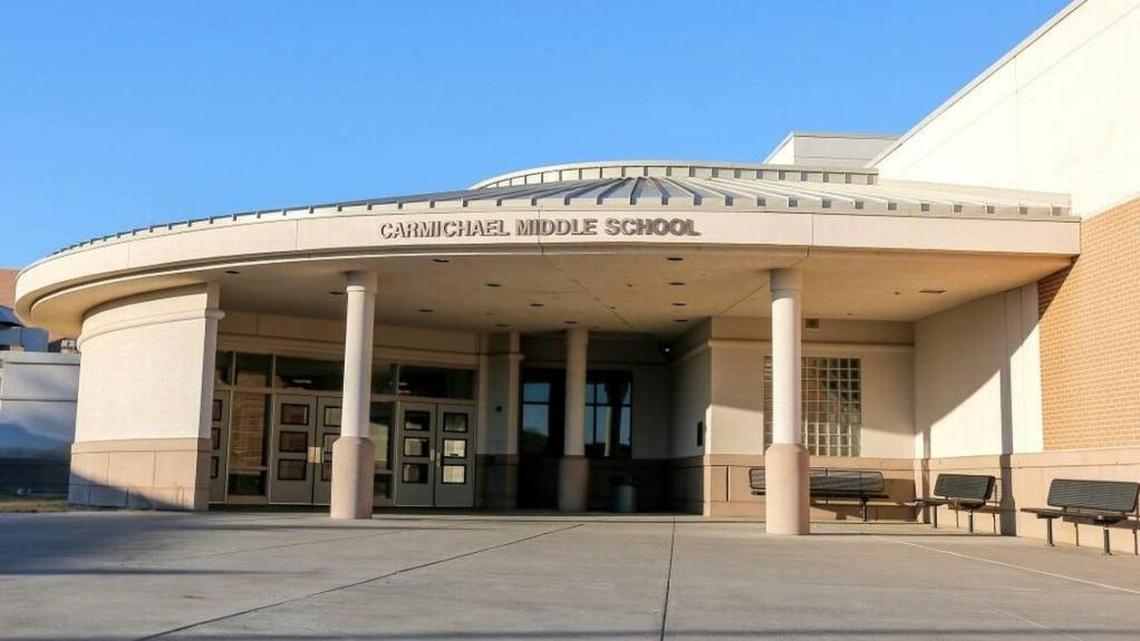 A 13-year-old Carmichael Middle School student appeared Wednesday in juvenile court after he was arrested Tuesday for making threats at his school and for having a stun gun.
