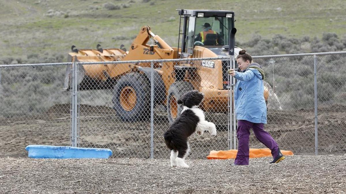 Deanna Rosenkranz, of Pasco, and her dog, Penelope, play during lunch break Wednesday at the temporary large dog park at the Paws-abilities Place while heavy equipment works nearby on the expansion of the popular off leash dog park. Watch a video at tricityherald.com/video
