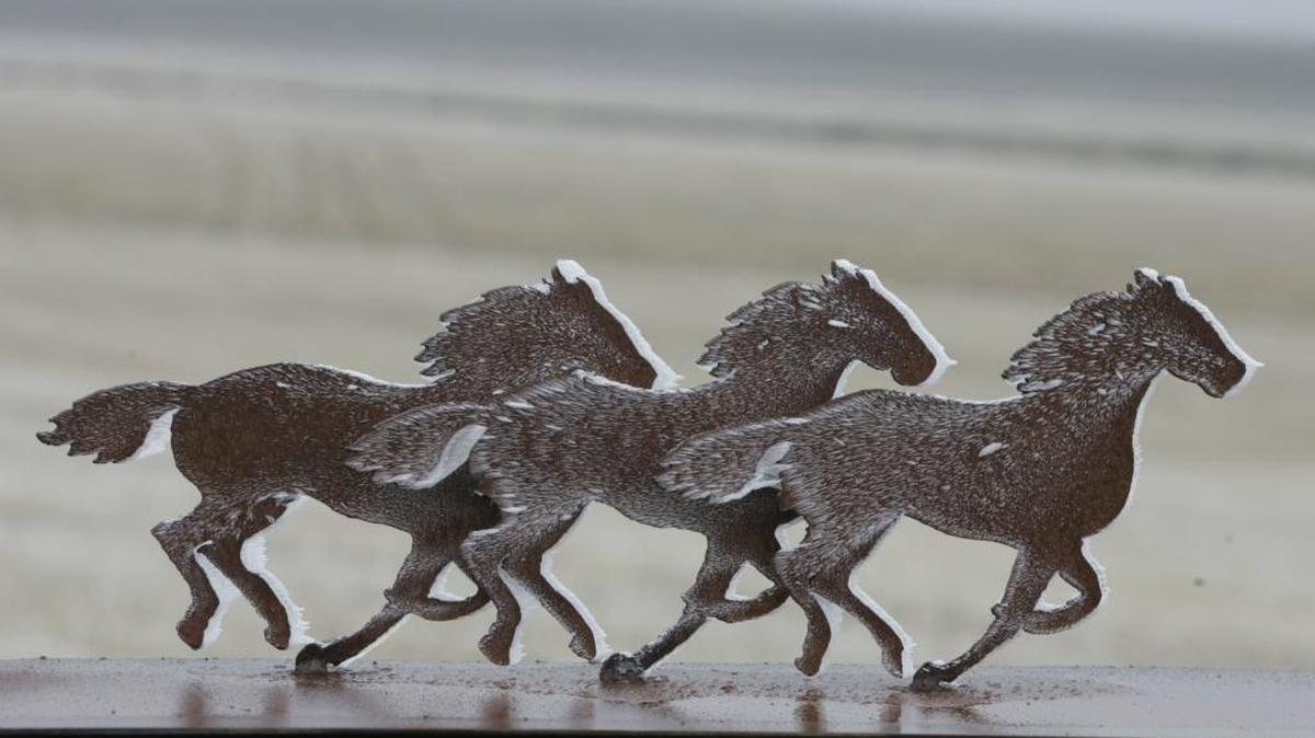 A coating of frost covers a trio of iron horses in the Horse Heaven Hills near Clodfelter Road in the Tri-Cities