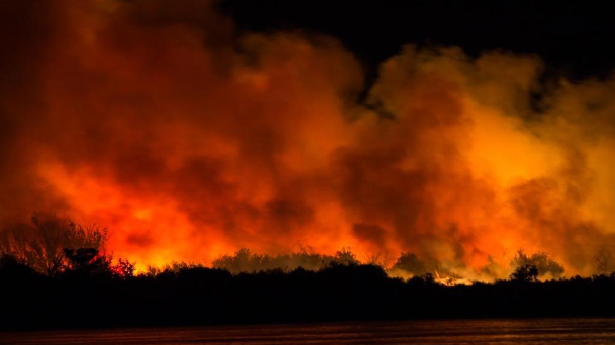 A fire on Bateman Island lit the skies Sunday night as firefighters battled the blaze.