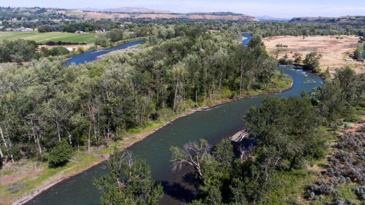 The Naches River flows near Gleed on June 12. Waters are running faster and colder than usual this year, which can create dangerous situations on the Naches and Yakima rivers.