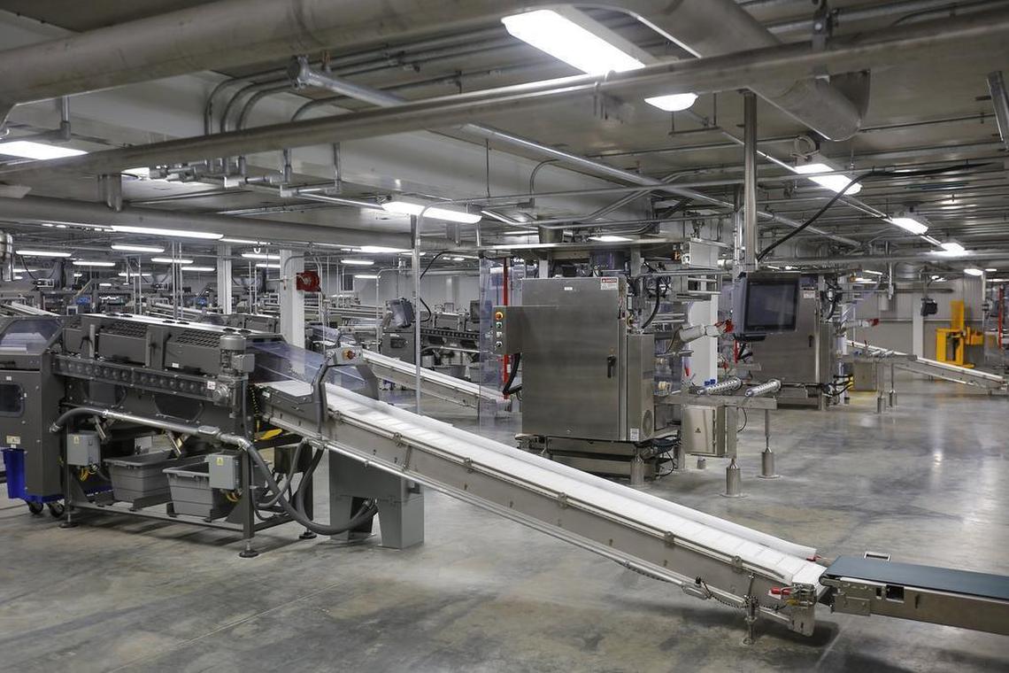 Lamb Weston Holdings Inc. will pay a quarterly dividend of about 19 cents per share in August, the Idaho-based frozen potato giant announced Thursday.