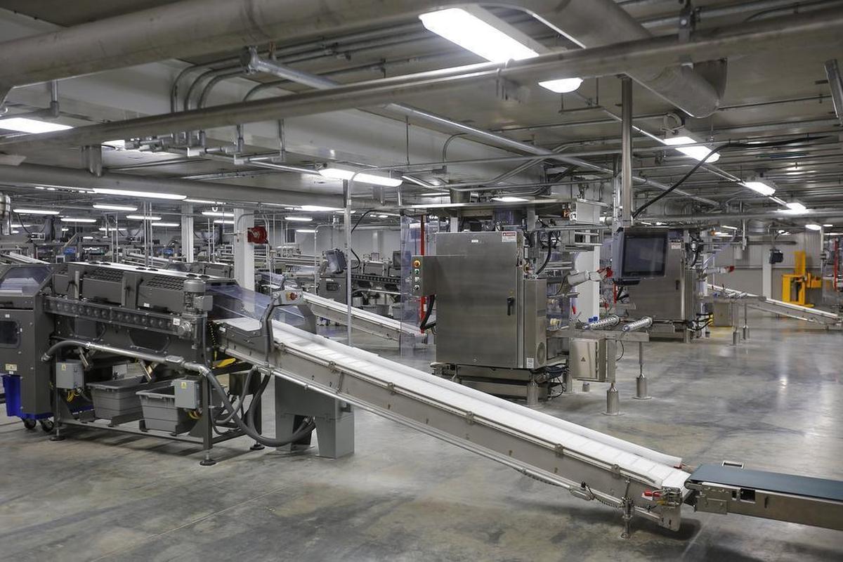 Lamb Weston Holdings Inc. will pay a quarterly dividend of about 19 cents per share in August, the Idaho-based frozen potato giant announced Thursday.