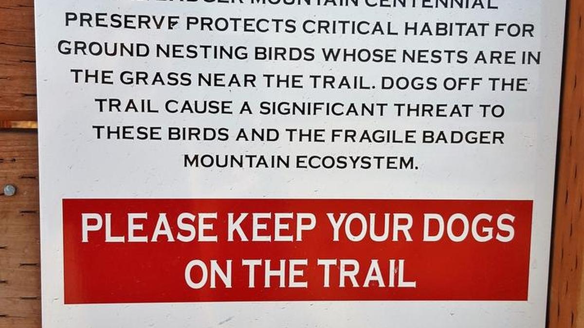 Dog signs on Badger Mountain spell out the rules of the road for taking your dog on a hike.
