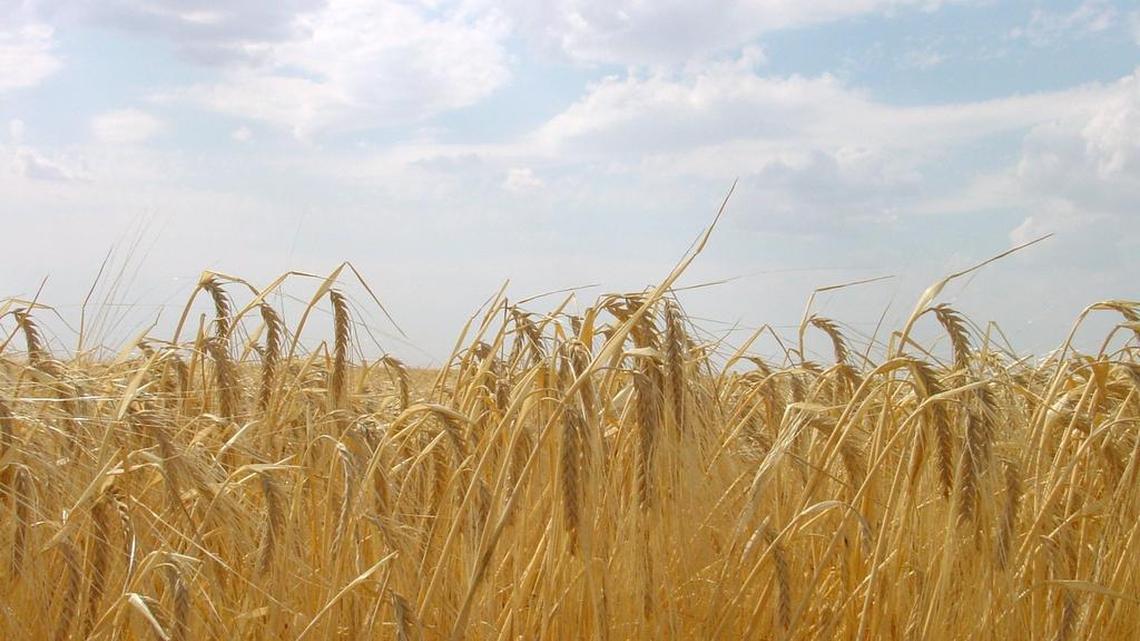 2016 Ag Hall of Fame inductees announced