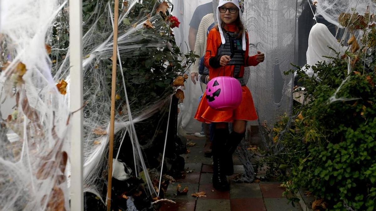 Ambria Pomerinke, 7 of Richland, dressed as the pilot from Star Wars, looks around a corner Saturday at her neighbor Michael Gaines' house while trick-or-treating with her family on Elm Street in Richland. For the last five years Gaines has set up a haunted maze in his backyard with his friends and family. They usually scares a few hundred kids and adults every year.