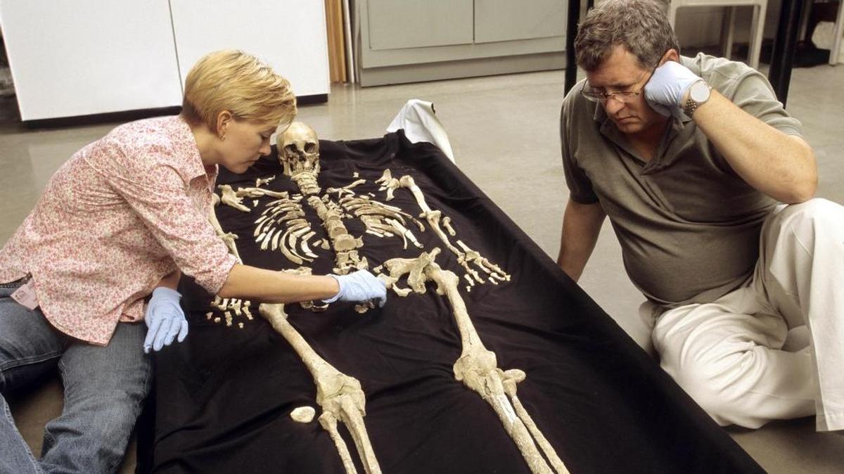 Smithsonian physical anthropologists Karin Bruwelheide, left, and Doug Owsley discuss the position of the Kennewick Man skeleton during an anatomical layout of the remains.
