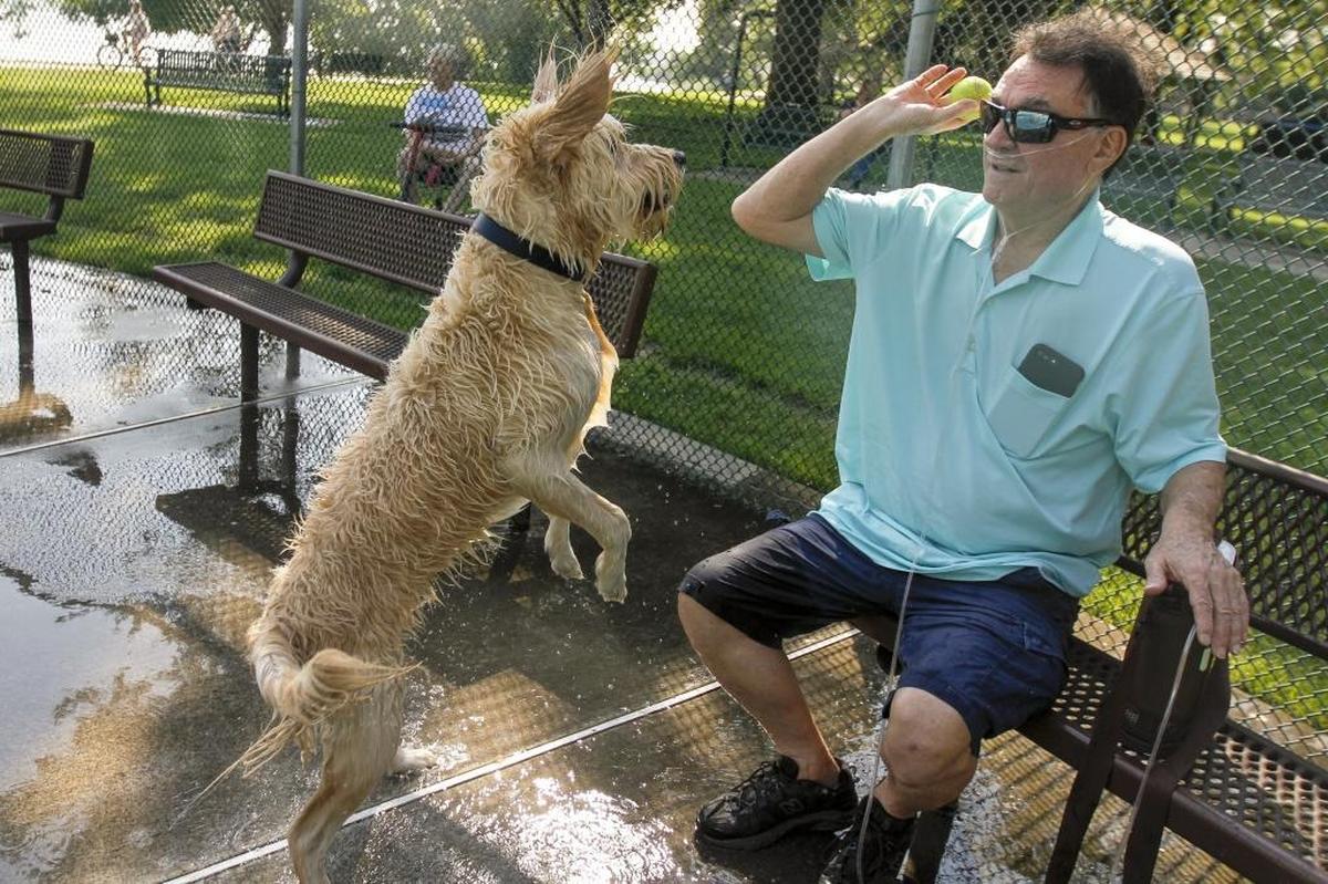 Richland is eliminating pet licensing, citing low compliance among the city’s thousands of dog and cat owners.