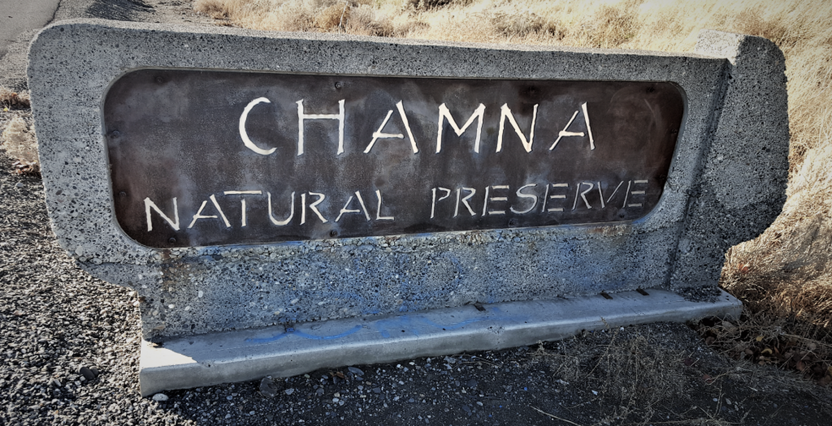 Chamna Natural Preserve has more than 11 miles of trails and is a local favorite with trail runners and mountain bikers.