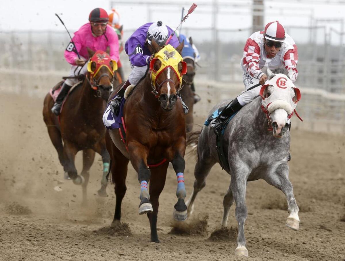 The Tri-Cities Horse Racing Association canceled racing at Sun Downs at Benton County Fairgrounds in Kennewick, WA, this year for the third season.