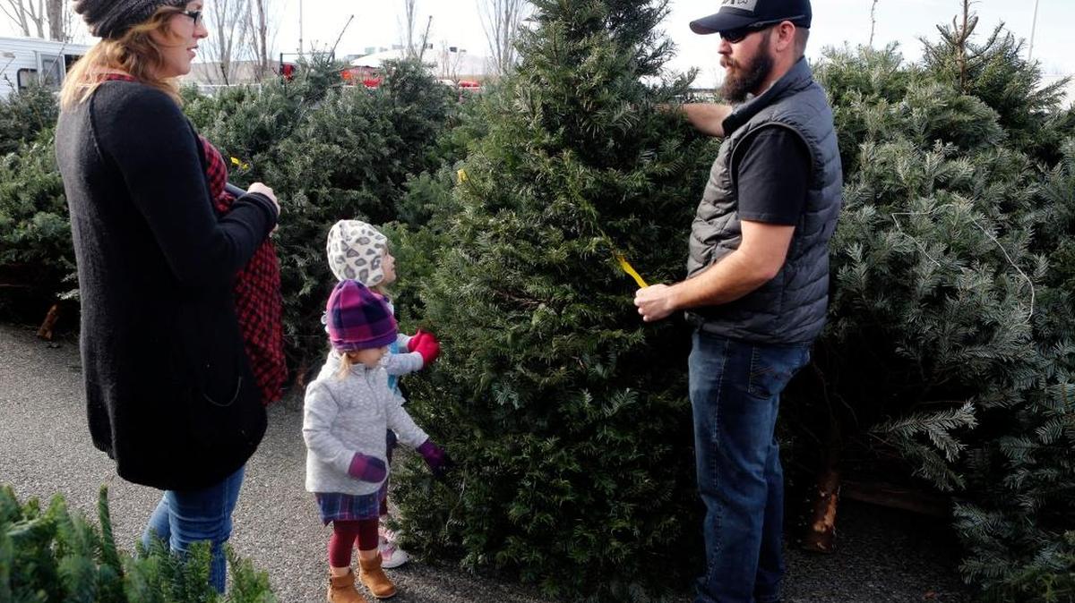 Selling Christmas trees has helped Richland’s firefighter union raise money for its Community Outreach program. However, the firefighters won’t be in the tree business this season, plagued by increasing costs and decreasing tree quality.