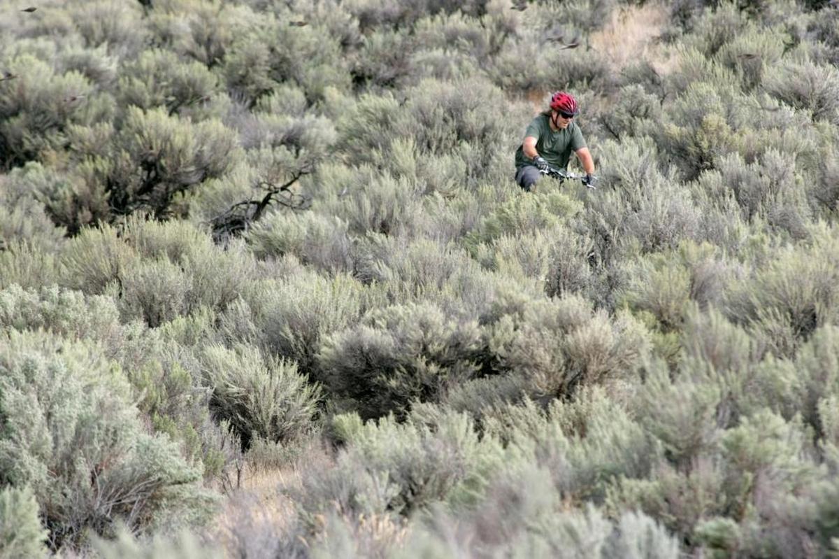 A mountain biker rides on the trails south of Kennewick behind the Washington State Patrol building on South Bofer Canyon Road.