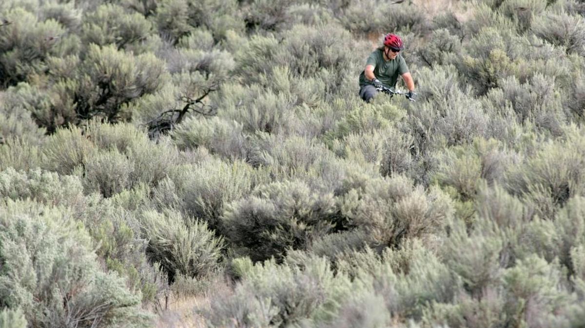 A mountain biker rides on the trails south of Kennewick behind the Washington State Patrol building on South Bofer Canyon Road.