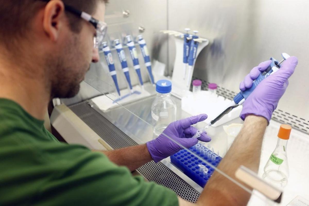 Research scientist Kyle Pomraning works with a test tube of fungi in his molecular biology lab at Pacific Northwest National Laboratory in Richland.