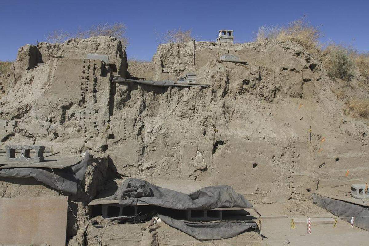 Mammoth bones were first discovered at the Coyote Canyon Mammoth Site south of Kennewick in 1999 during quarrying work.